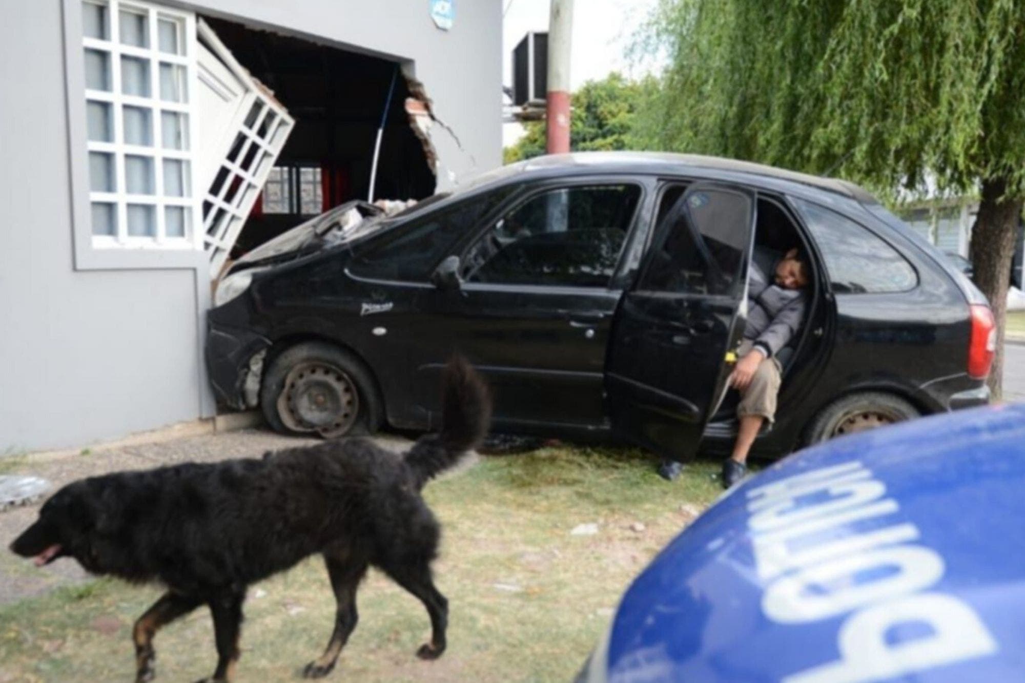 La Plata: manejó alcoholizado, incrustó su auto dentro de una casa y se tiró a dormir en el asiento trasero